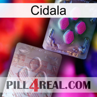 Cidala 38